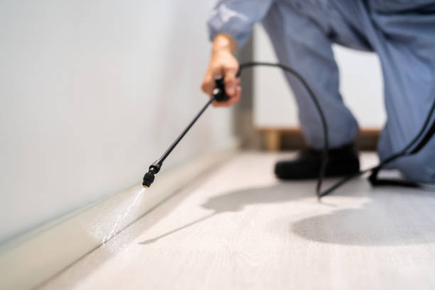 Licensed Mosquito Control service in Oakes, ND - Show Me Pest Control
