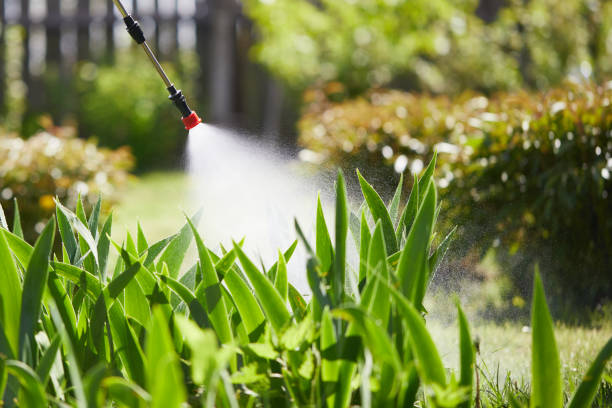 24/7 Emergency Mosquito Control experts in Oakes, ND